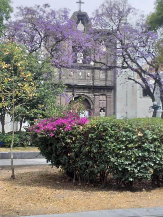 Hostal Azul Puebla Centro Historico المظهر الخارجي الصورة